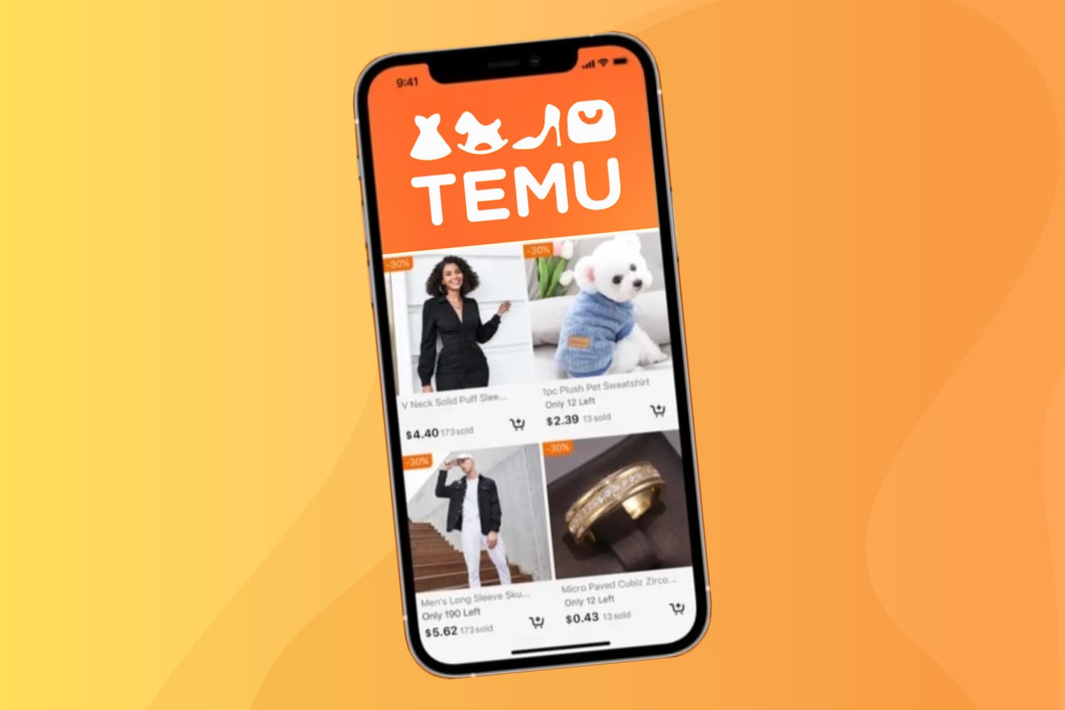 Einleitung: Was ist Temu?