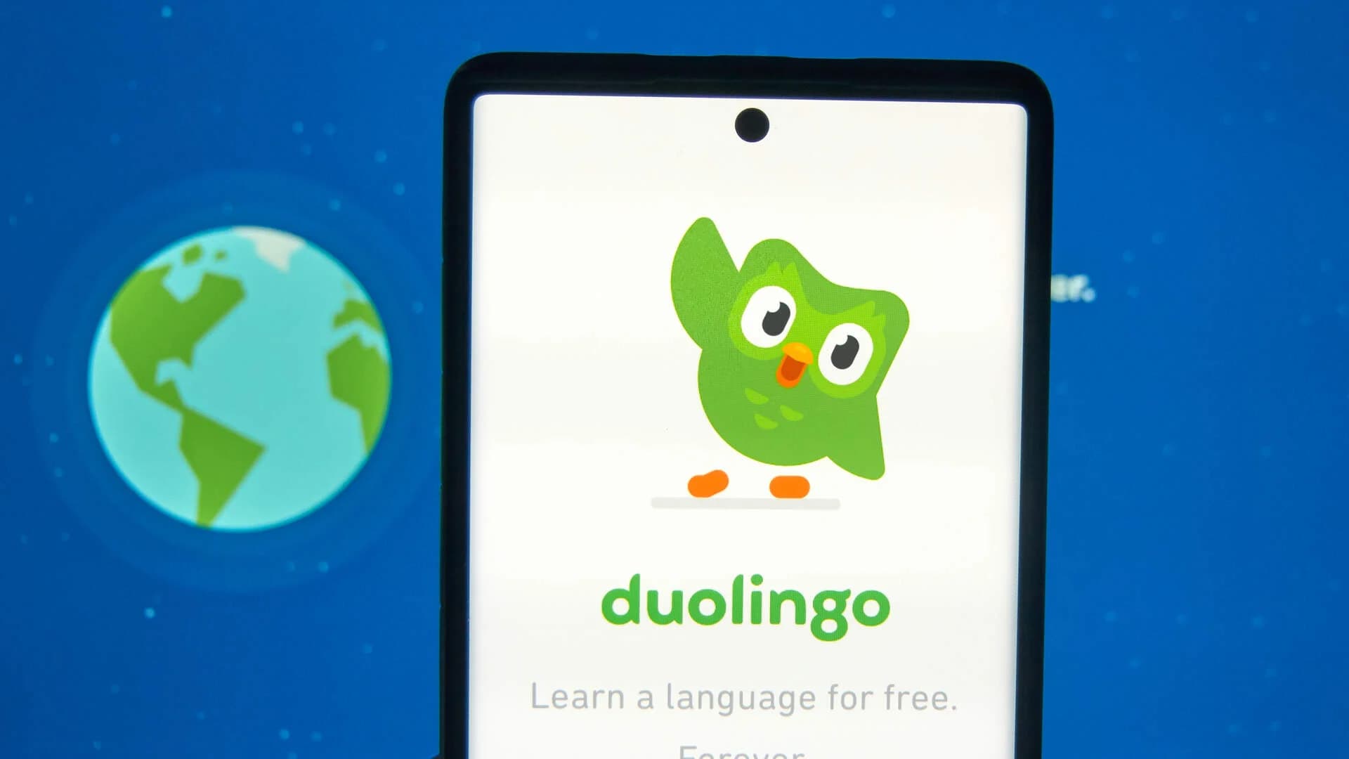 Warum Duolingo weltweit überzeugt